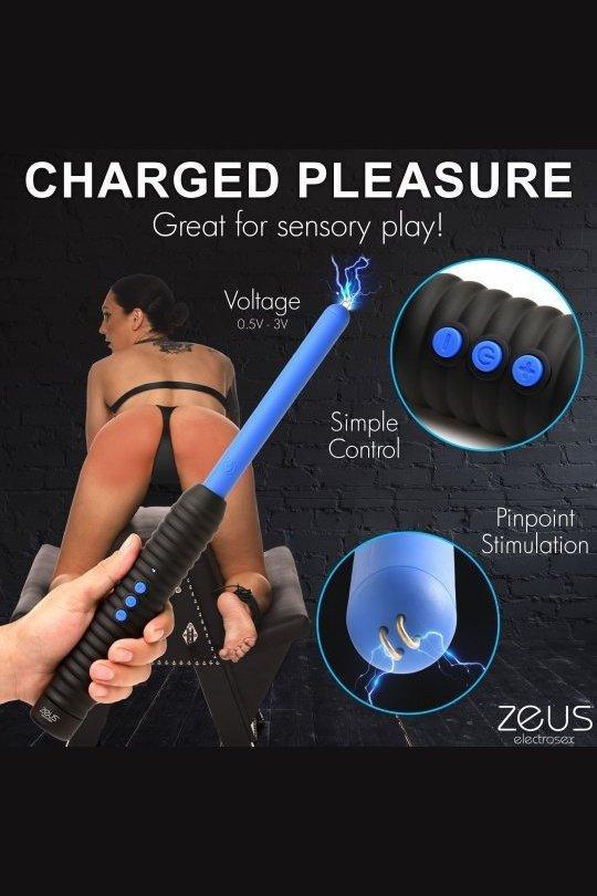 Shock Rod Zapping Wand - Sex On the Go