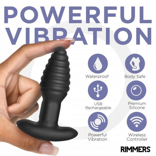 Model-E Vibrating Rimming Plug with Remote - Sex On the Go