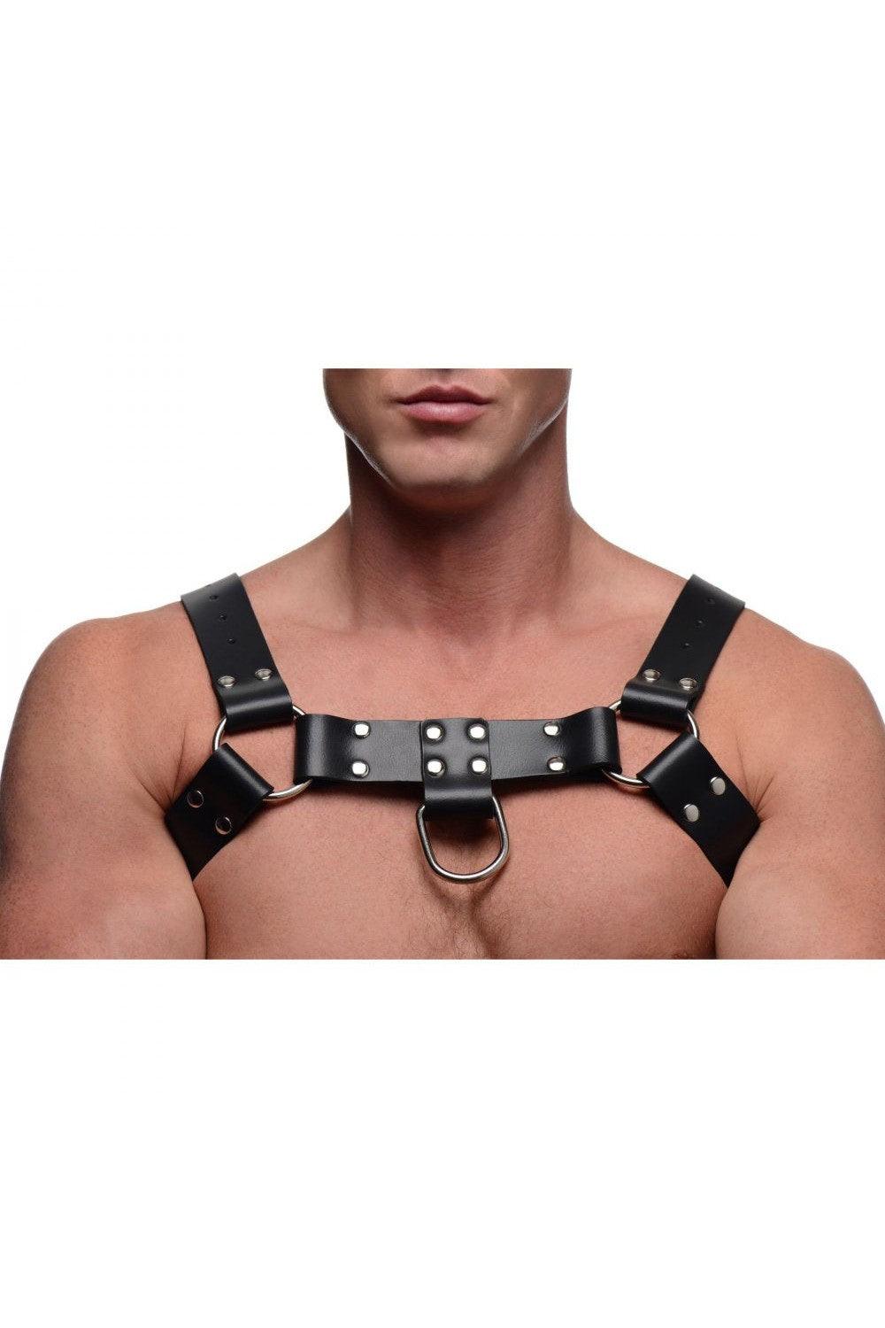English Bull Dog Harness with Cock Strap - Sex On the Go