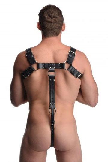 English Bull Dog Harness with Cock Strap