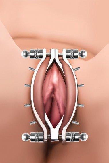 Spread Em Stainless Steel Poker Labia Clamp with Adjustable Pressure Screws - Sex On the Go