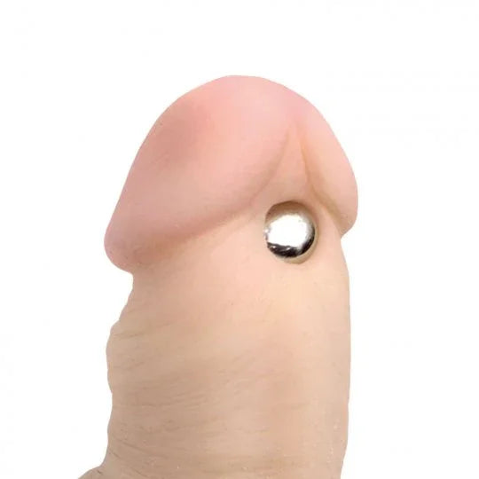 Realistic silicone model of a penis with a metallic ring on a white background