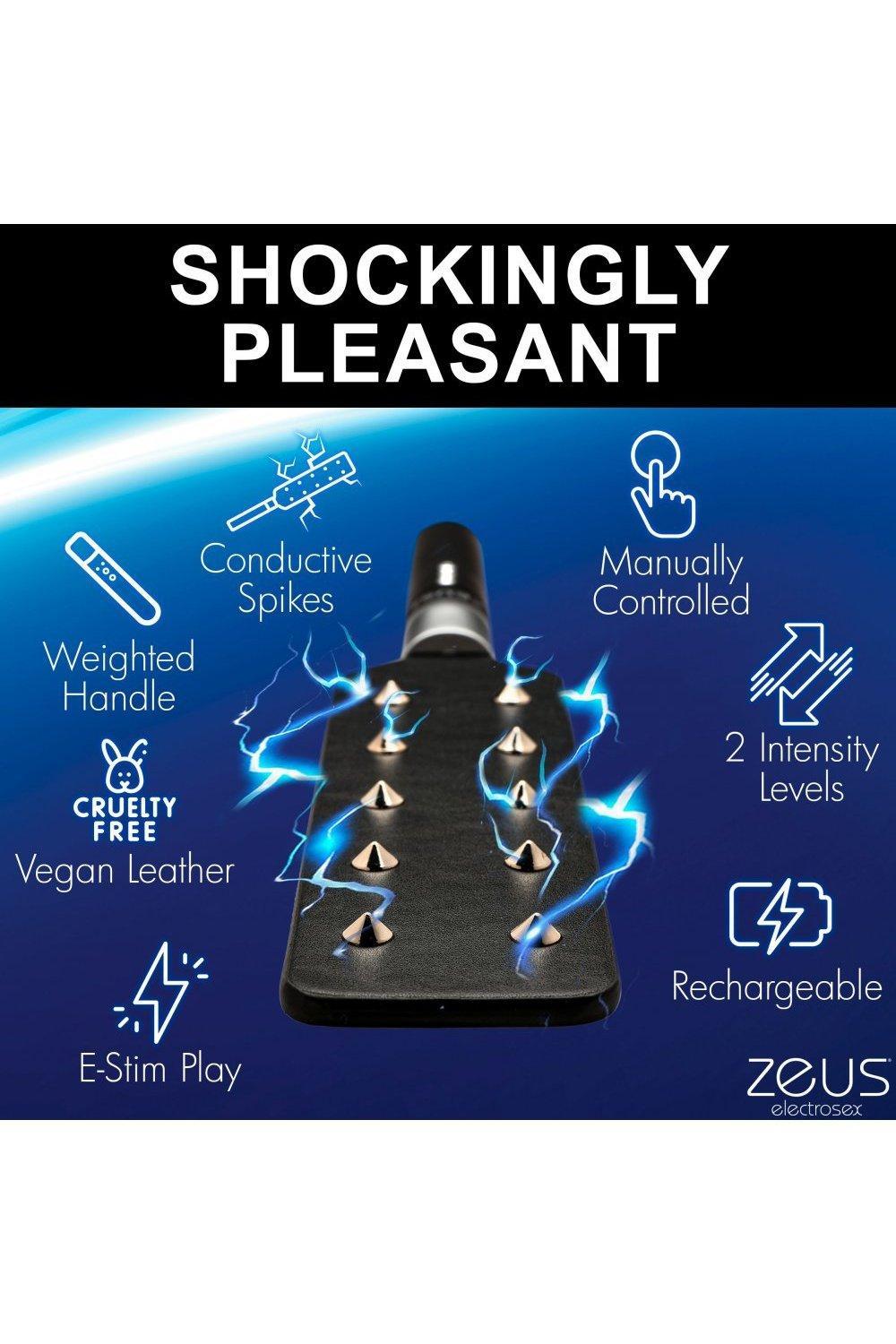 E-stim Spiked Paddle - Sex On the Go