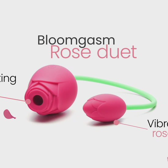 the rose duet is sure to satisfy the clitoris need